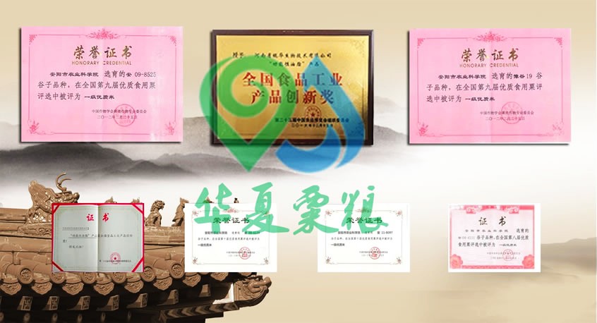 榮譽.jpg