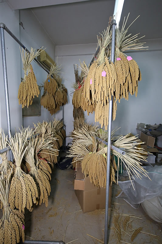 華夏粟糧企業(yè)掠影——小米展廳一